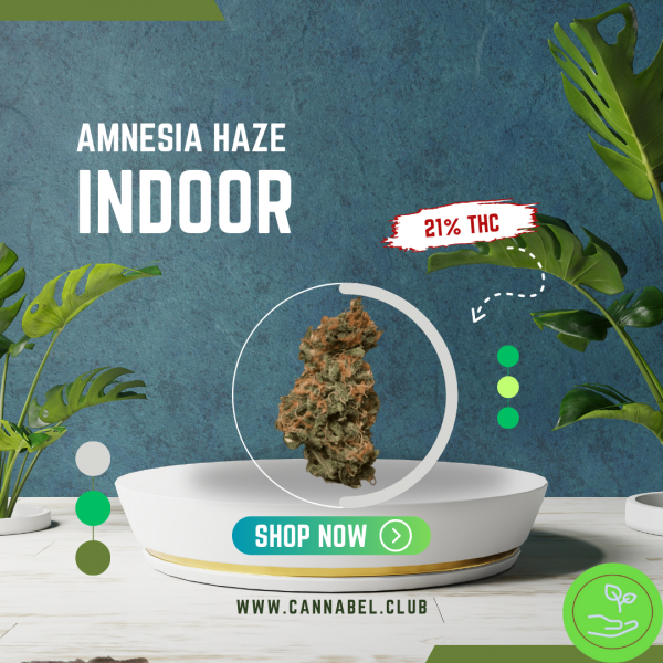 Amnesia Haze